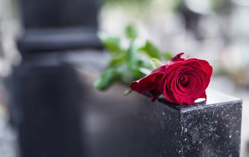 Imagem de rosa vermelha em cima do túmulo