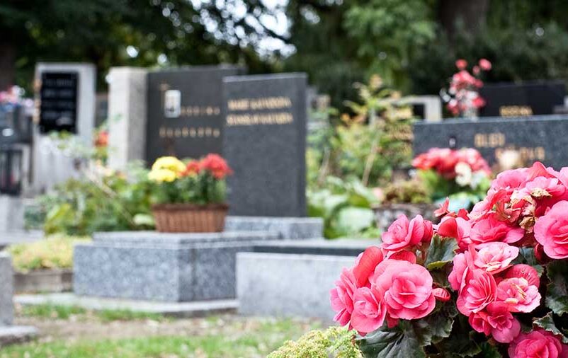 4 Tipos De Cemitérios que temos no mundo