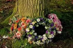 Por que toda coroa de flores é redonda?