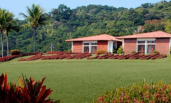 Foto Cemitério Foto Cemitério Jardim da Saudade